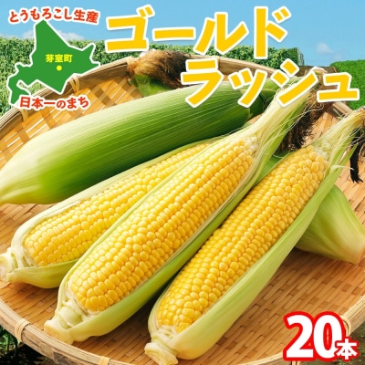 【2025年先行予約】北海道芽室町 とうもろこし ゴールドラッシュ 20本me035-027c-25