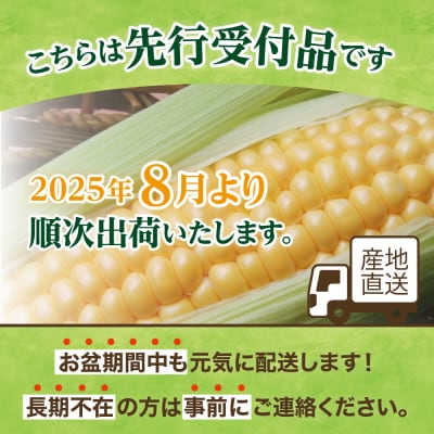 【2025年先行予約】北海道芽室町 とうもろこし ゴールドラッシュ 20本me035-027c-25