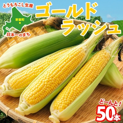 【2025年先行受付】北海道芽室町 とうもろこし ゴールドラッシュ50本 me035-029c-25