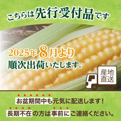 【2025年先行受付】北海道芽室町 とうもろこし ゴールドラッシュ50本 me035-029c-25