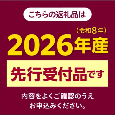 【2026年先行受付】北海道芽室町 とうもろこし ゴールドラッシュ15本 me035-035c-26