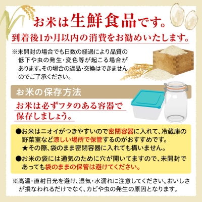 北海道十勝芽室町 北海道産ななつぼし あらい商店オリジナル精米 5kg me047-004c