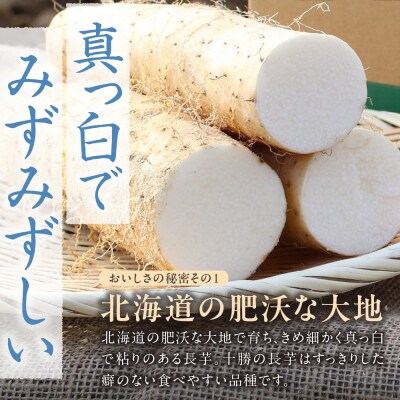 北海道十勝芽室町 ファーム・ミリオンの長芋【土付き】　10kg me016-013c