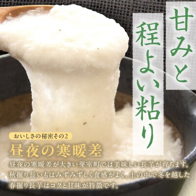 北海道十勝芽室町 ファーム・ミリオンの長芋【土付き】　10kg me016-013c