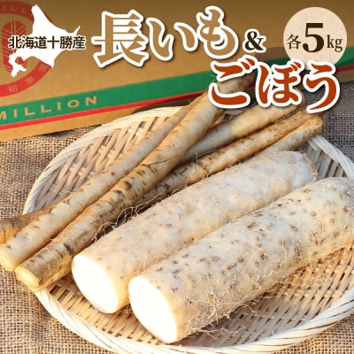 北海道十勝芽室町 ファーム・ミリオンの長芋ごぼうセット【土付き】 10kg me016-014c