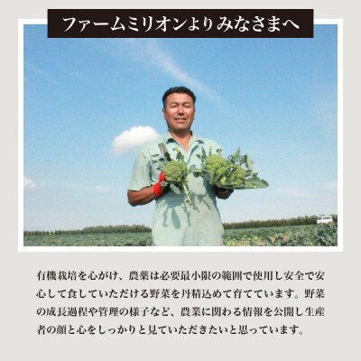 北海道十勝芽室町 ファーム・ミリオンの贅沢根菜セット(長芋・ごぼう・山わさび) me016-015c