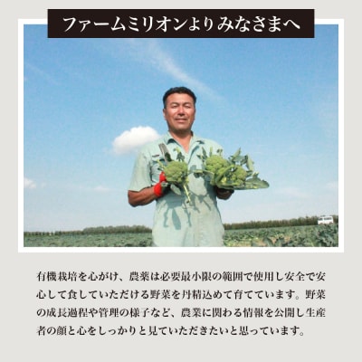 北海道十勝芽室町 ファーム・ミリオンの贅沢根菜セット(長芋・ごぼう・山わさび) 【土付き】