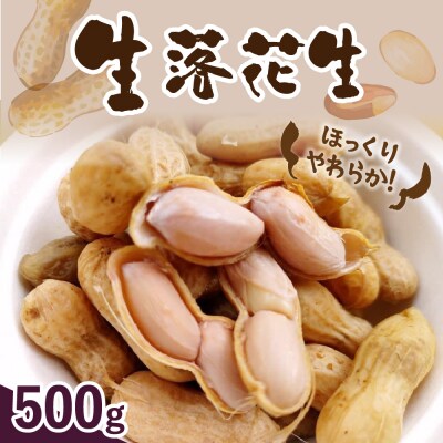 【先行受付】北海道十勝芽室町 生落花生(洗い)500g me010-016c