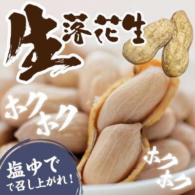 【先行受付】北海道十勝芽室町 生落花生(洗い)500g me010-016c