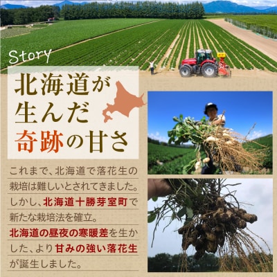 【先行受付】北海道十勝芽室町 生落花生(洗い)500g me010-016c