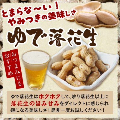 【先行受付】北海道十勝芽室町 生落花生(洗い)500g me010-016c