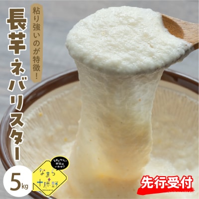 【先行受付12月中旬頃発送】北海道十勝芽室町 ながいも ネバリスター 5kg me001-047c