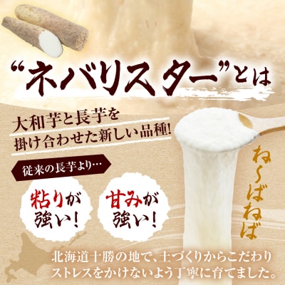【先行受付12月中旬頃発送】北海道十勝芽室町 ながいも ネバリスター 5kg me001-047c