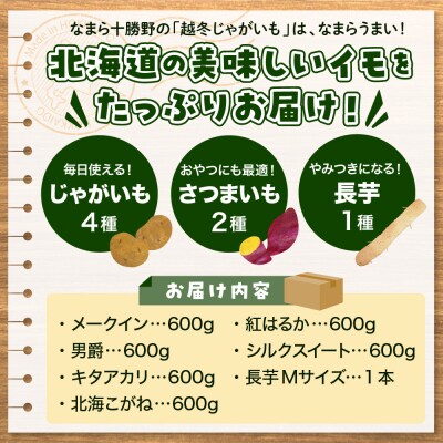 北海道十勝芽室町　なまら十勝野のいもづくし 7種 計4kg me001-048c