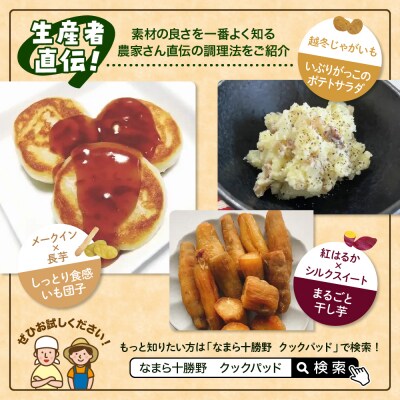 北海道十勝芽室町　なまら十勝野のいもづくし 7種 計4kg me001-048c