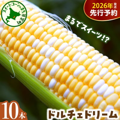 【先行受付】北海道十勝芽室町 ドルチェドリーム 10本 me002-024c-26