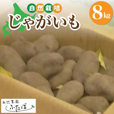 北海道十勝芽室町【2025年2月より順次発送】宇佐美亮のじゃがいも 8kg　me074-005c