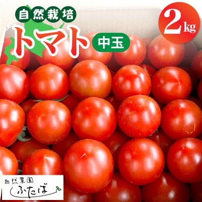 【先行受付】【2025年8月中旬から順次発送】芽室町トマト(中玉) 2kg　me074-010c