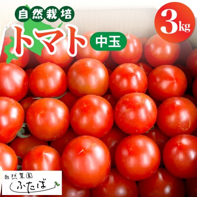 【先行受付】【2025年8月中旬から順次発送】芽室町トマト(中玉)3kg　me074-011c