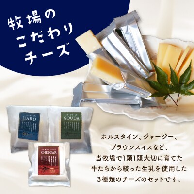 【12月発送】北海道十勝芽室町 牧場スティックチーズ3種セット　me020-006c-12