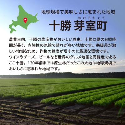 【全4回定期便】北海道十勝芽室町 BITO LABO 乾麺とパンケーキセット