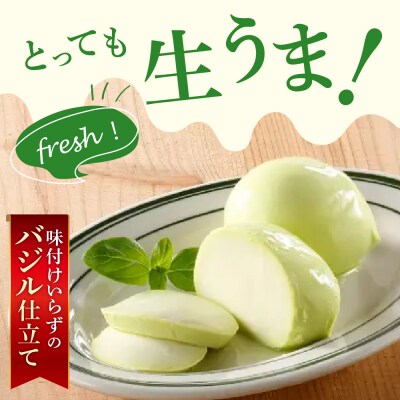 明治北海道十勝生モッツァレラ バジル仕立て 100g×6パック me003-123c