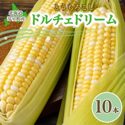 【2025年先行受付】北海道十勝芽室町 ドルチェドリーム 10本 me035-030c-25