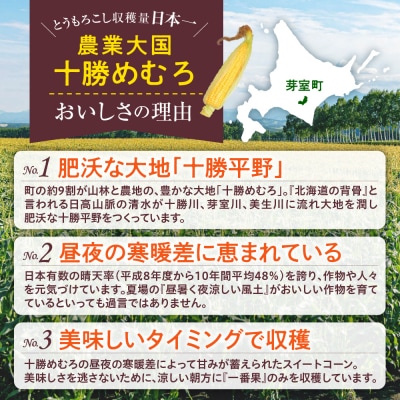 北海道十勝芽室町産レトルトコーン 20本 me078-002c