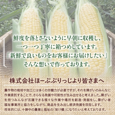 北海道十勝芽室町産レトルトコーン 20本 me078-002c