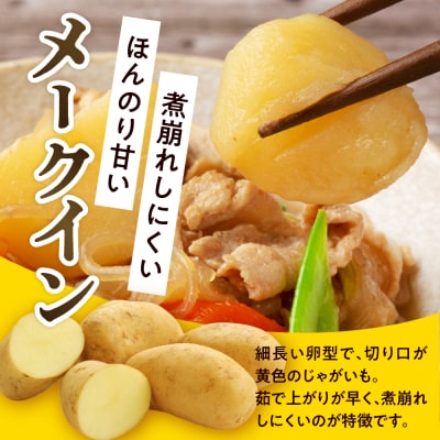 【先行受付】【2026年10月出荷分】北海道芽室町 十勝めむろ産「めむろメークイン」Lサイズ5kg