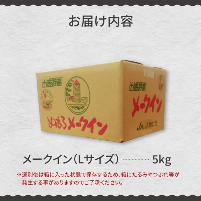 【先行受付】【2026年10月出荷分】北海道芽室町 十勝めむろ産「めむろメークイン」Lサイズ5kg