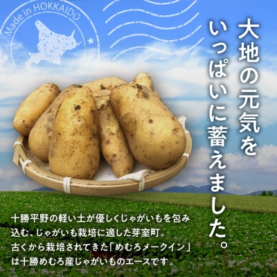 【先行受付】【2026年10月出荷分】北海道芽室町 十勝めむろ産「めむろメークイン」Lサイズ5kg