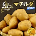 【先行受付2026年4月出荷】十勝めむろ産 越冬マチルダLサイズ5kg me010-018c-25