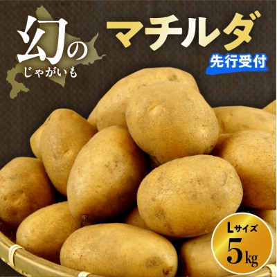 【先行受付2026年4月出荷】十勝めむろ産 越冬マチルダLサイズ5kg me010-018c-25