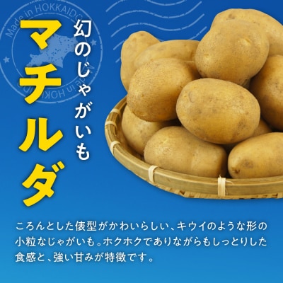 【先行受付2026年4月出荷】十勝めむろ産 越冬マチルダLサイズ5kg me010-018c-25