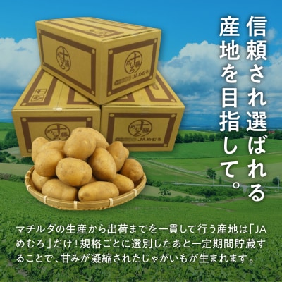 【先行受付2026年4月出荷】十勝めむろ産 越冬マチルダLサイズ5kg me010-018c-25