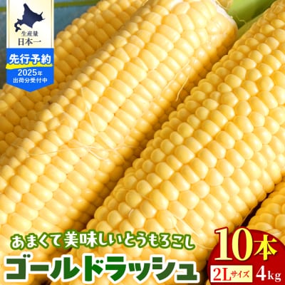 寄附額見直しました!【先行受付】北海道十勝芽室町 とうもろこし ゴールドラッシュ 2Lサイズ 10本