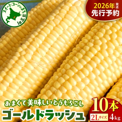 【先行受付】芽室町 とうもろこし ゴールドラッシュ 2Lサイズ 10本　me078-003c-26