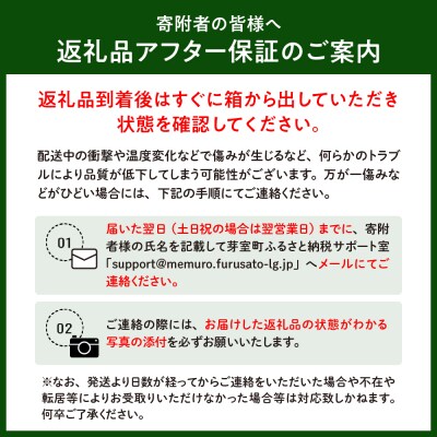 寄附額見直しました!【先行受付】北海道十勝芽室町 とうもろこし ゴールドラッシュ 2Lサイズ 10本