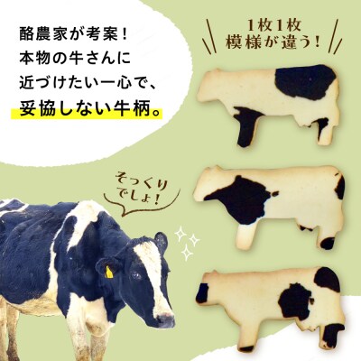 北海道十勝芽室町 牛サブレ5頭入り 2箱 me079-002c