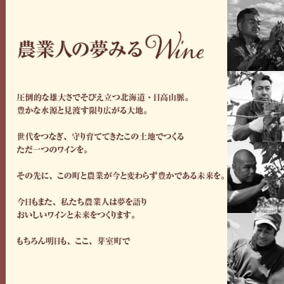 【年4回/3か月毎に1本】北海道十勝芽室町 ワイン定期便 かなえる【山幸】me032-057c-t4