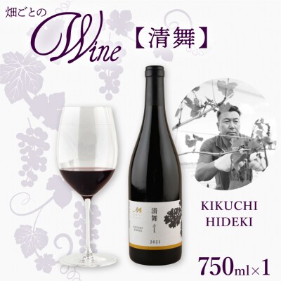 北海道十勝芽室町 清舞【KIKUCHI HIDEKI】 me032-066c