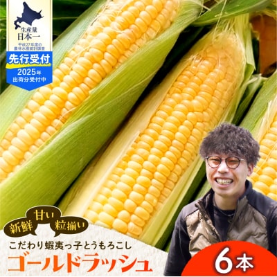 【7/25～8/15頃発送予】朝採り 北海道十勝芽室町　蝦夷っ子とうもろこし ゴールドラッシュ 6本