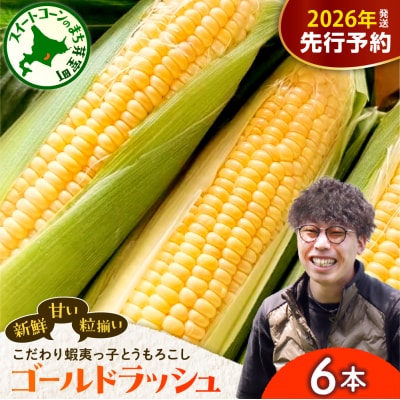 【先行受付】朝採り 蝦夷っ子とうもろこし ゴールドラッシュ 6本　me076-008c-26