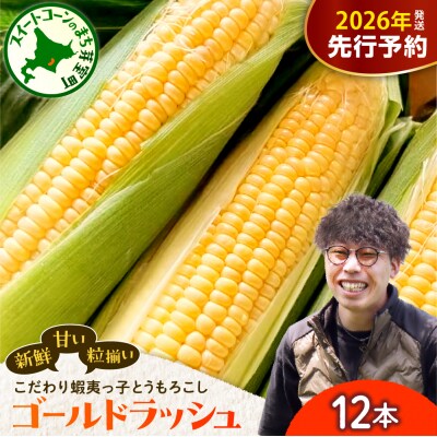 【先行受付】朝採り 蝦夷っ子とうもろこし ゴールドラッシュ 12本　me076-009c-26