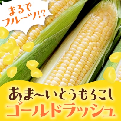 朝採り 蝦夷っ子とうもろこし ゴールドラッシュ 12本　me076-009c-26