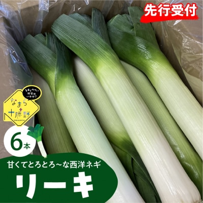【先行受付11月より発送】北海道十勝芽室町 なまら十勝野の鳥本農場リーキ 6本 me001-046c