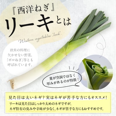 【先行受付11月より発送】北海道十勝芽室町　なまら十勝野の鳥本農場リーキ 6本 me001-046c