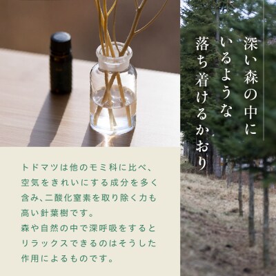 2027年6月より配送 北海道十勝芽室町 ととのい極楽セット エッセンシャルオイル1本×ヴィヒタ2本