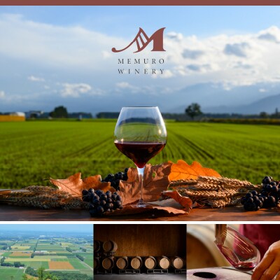 北海道十勝芽室町　 ロゼワイン「たのしむ　清見ロゼ」 750ml×1本　me032-067c